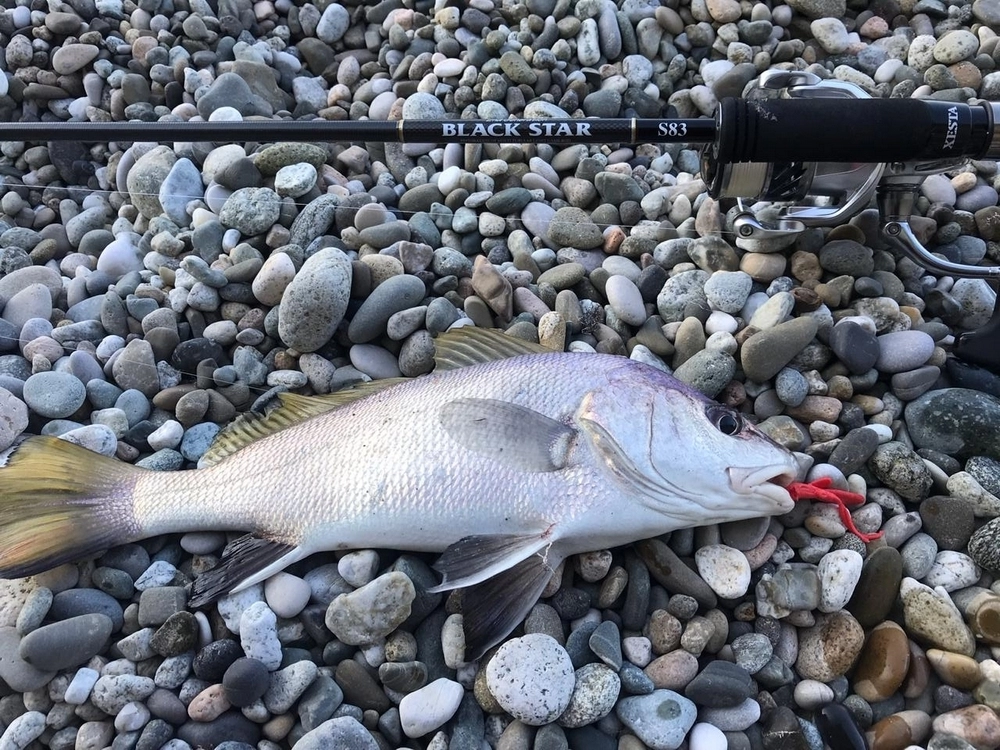 Ecogear Aqua - Katsu Aji Komushi 2’’J18