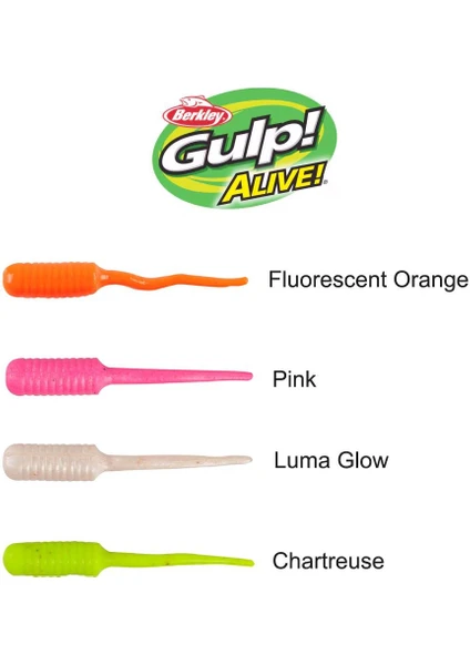 Berkley Gulp! Alive!® Minnow 1’’ - Luma Glow