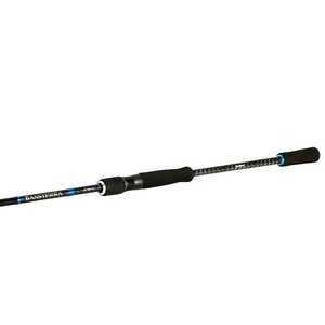 Shimano Bassterra Sea Bass 244 Cm 6-28 Gr Spin Kamışı