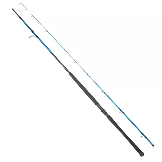 Ryuji Shore Game Fuji KW 2P 310cm 60-150gr Shore Jig Kamışı